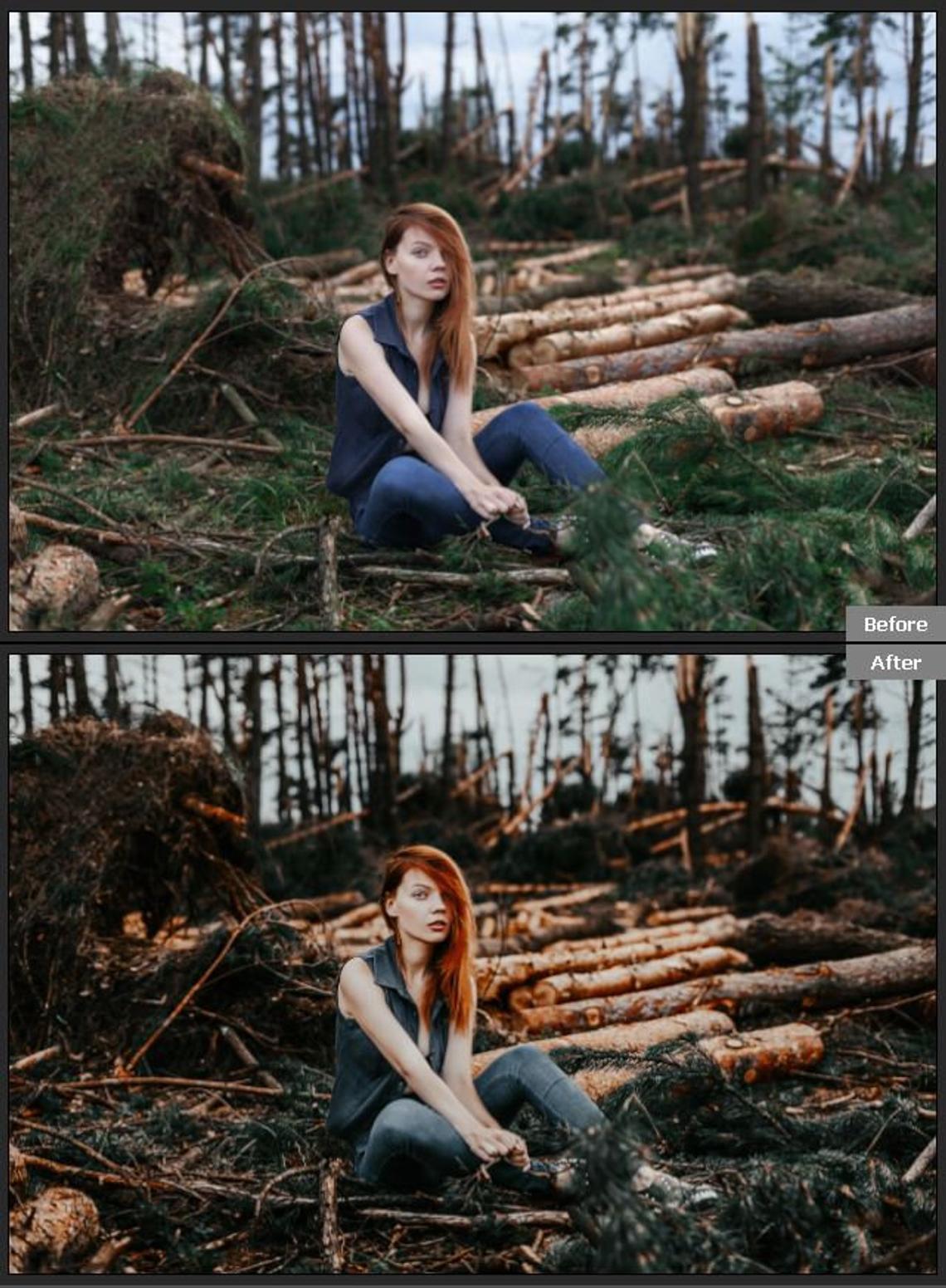 Woods Lightroom Mobile Preset